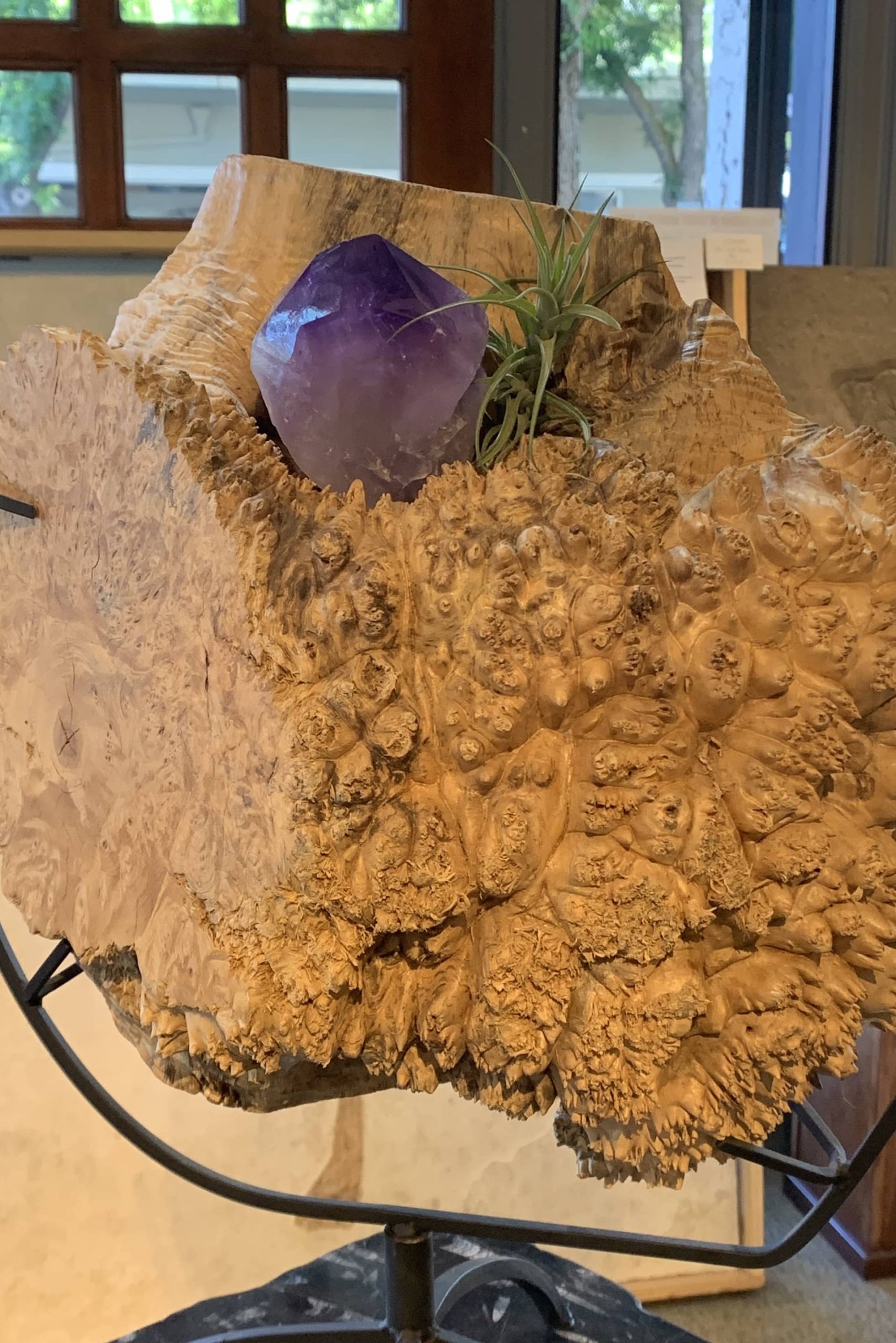 Sculpture Housewarming gift decor Hybrid Hanging Purple Maple Burl