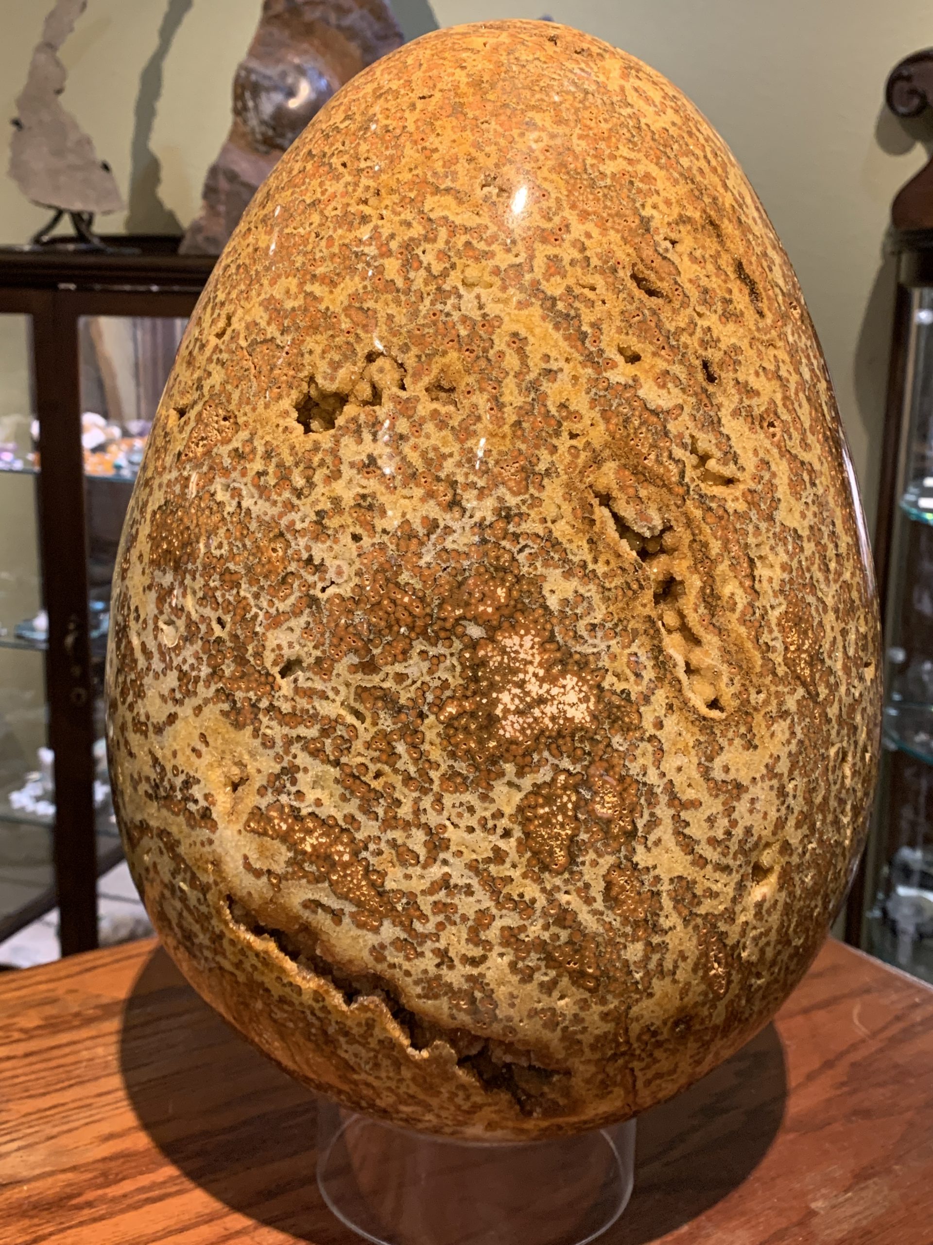 Extra Large Ocean Jasper Egg - Nature Gallery